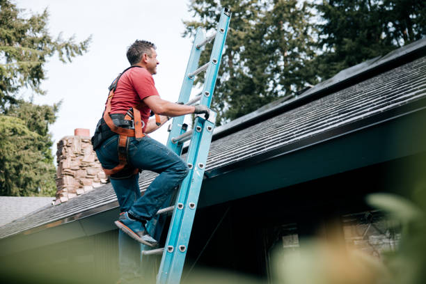 Best Rubber Roofing (EPDM, TPO)  in Columbia, IL